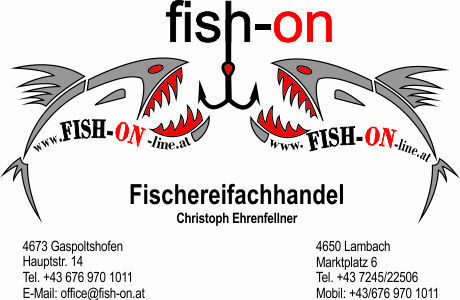 $data['details']['name']